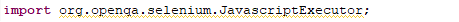 import java script executor